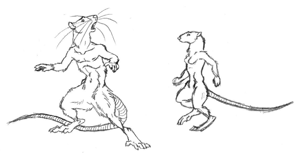 anthro rat