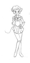 srw.gif by Emily Stoll (SilvaVixen, Flame)
