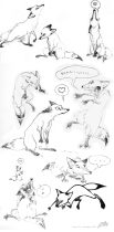 fox_sheet.jpg by Lissa B. Treiman (Koosh-llama)