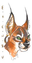 ekendu.gif by Claire Hummel (Shoom'lah)