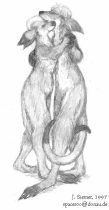 dancroos.jpg by John Siemer (Spaceroo)