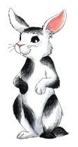 bun2k.jpg by David Simpson
