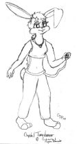 cd-crys.jpg by Colleen Phillips (Catnel)