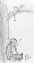 acorn.jpg by Joel Butler (Fuzzybear)