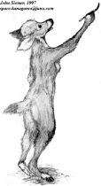 graydeer.jpg by John Siemer (Spaceroo)