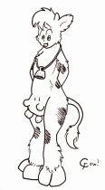 cuteycow.jpg by Chris Farrington (Kelvin the Lion)