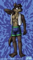 tutwolf.jpg by Alan Mackey