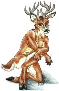 deer-fur.jpg by Kristin Deeds