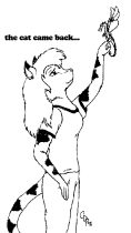 catnback.gif by Colleen Phillips (Catnel)