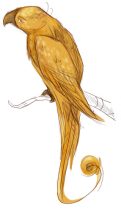 if-phoenixoc.jpg by Robin Hall (IndigoFox)