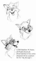 foxsktch.jpg by Matthew Peters