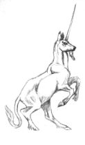 kc_unide.gif by Karen J. Cravens (Silver)