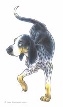 coonhound.jpg by Jenn Rodriguez (PacRat)