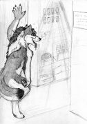 goshopping.jpg by Audrey Walker (KrazyKlaws, WolfDreamer)