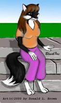 bkfoxtrd.jpg by Donald Brown (oldrabbit)