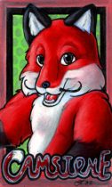 cambadge.jpg by Erika Leigh Rosengarten (Chilly Mouse Mousie)