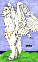 cumulus.jpg by Sara Palmer (Caribou, Europa)
