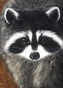 raccoon.jpg by Odis Holcomb (Ryngs, The March Hare)