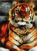 tiger_.jpg by Timothy Albee (Amadhi)