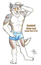 kwakcol1.jpg by Jimmy Chin (Kohii, Bunnell, Yippee Coyote)