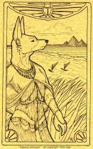 basenji.jpg by S.A. Wilkinson (Coyohti)