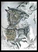 wargryph-sketches4.jpg by Caroline Muchmore (Little Serval)