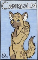 ma_canisbadge.jpg by Sarah Troutman (Maui)