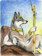 coyoking.jpg by Therese Larsson (Ailah)
