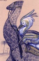 kuanping.jpg by Susan Morgan (DeNonikus, Shoes, Chasmosaur)