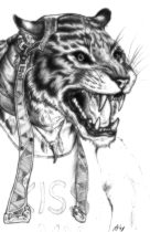 madkitty.jpg by Modryd Faulkner (Fangs)