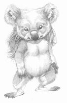 koalashm.jpg by Claire Hummel (Shoom'lah)