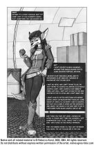 ko_native_p2.jpg by R. Korol (Kohali)