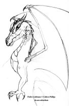 unfinpin.jpg by Colleen Phillips (Catnel)