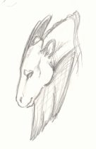 ahksketch.jpg by L.N. Dornsife (Thornwolf)