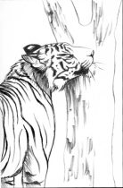 tigerrub.jpg by Megan Giles (SpaceCat)