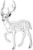 fallowdeer.gif by Xenia Eliassen (Swandog)