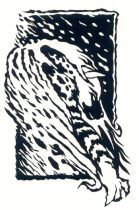 ice_shirtprint.jpg by Cara Mitten
