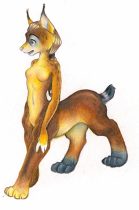 geku.jpg by Jenn Rodriguez (PacRat)