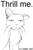 wm_thril.gif by Whitney Mattila (Dash, Tia, Matilda)