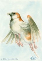 sparrowmouse.jpg by Janis Neville (starfallz)