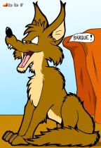 bbf-coyote-rock.jpg by Karsten Auchter (BigBlueFox)