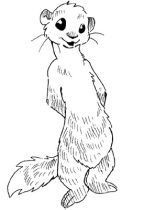mel-075.jpg by Melissa Drake (MelSkunk, Jabet)