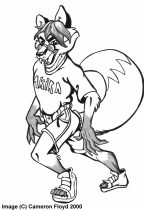 ericfox.jpg by Cameron Floyd (Cameroo)