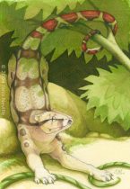 panthera_constrictor.jpg by Janis Neville (starfallz)