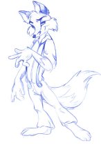 reynard1.jpg by Margaret Petrie (Nduli)