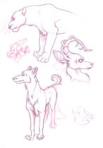 randomsketches.jpg by Jenn Rodriguez (PacRat)