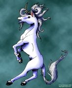 rearing-unicorn.jpg by Traci Vermeesch (Ulario)