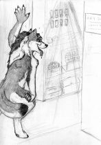 goshopping.jpg by Audrey Walker (KrazyKlaws, WolfDreamer)