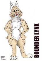 boun.jpg by Jason Williams (Ocicat)