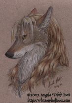 yelskc.jpg by Angela Butt (Yelth)